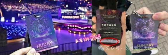 丢人丢到国外！中国奥运冠军落马被查，官方实锤辞职国羽颜面尽失